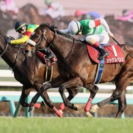 【中山記念】中山巧者シックスペンスが重賞３勝目