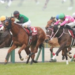 【チューリップ賞】９番人気クリノメイの勝利で３歳牝馬戦線異状あり！？