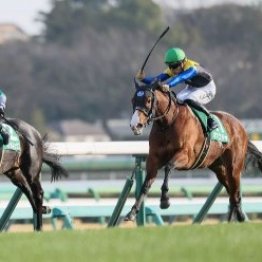 中山の芝は見た目以上に硬くて時計が速い