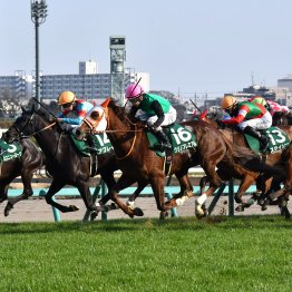 【中山牝馬Ｓ】人気、伏兵問わず５歳勢が大活躍