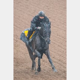 今週は坂路で馬なり