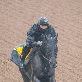 【中山牝馬Ｓ】クリスマスパレードここから大舞台へリトライ