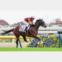 逃げ切りで新馬勝ち