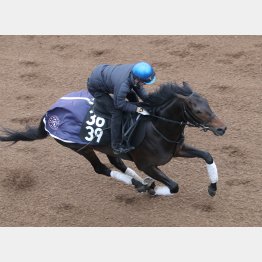 コーナー４つの競馬も合いそう