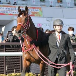 【市川の日曜競馬コラム・弥生賞ディープインパクト記念】