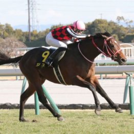 【東京本紙・外山の弥生賞ディープインパクト記念】