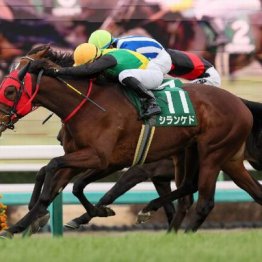 【中山牝馬Ｓ】シランケドが外から差し切って初重賞Ｖ