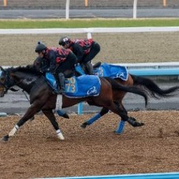 【金鯱賞】調教マル得チェック②