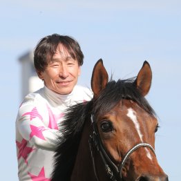 【スプリングＳ】横山典との強力コンビ マテンロウバローズ初重賞取り