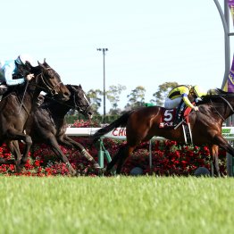 【金鯱賞】データ作戦　先手必勝！？　過去８年で逃げ馬が＜２３１２＞