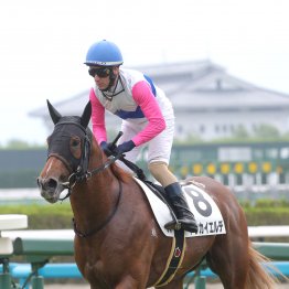 【田中の土曜競馬コラム・阪神７Ｒ】