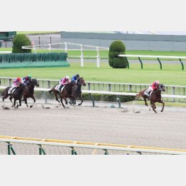 ２勝クラスは６馬身差Ｖ