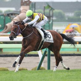 【播磨の土曜競馬コラム・難波Ｓ】