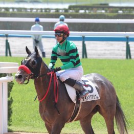 【新谷の土曜競馬コラム・中京スポーツ杯】