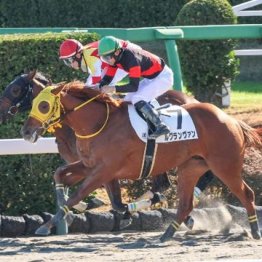 【飯島の土曜競馬コラム・中山７Ｒ】