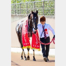 昨秋の東京ハイジャンプ勝ち