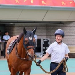 トップ級は年収２億円　競走馬を育てる調教師というお仕事