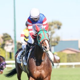 【田中の日曜競馬コラム・スプリングＳ】