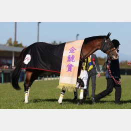 昨年の金鯱賞では②着に５馬身差