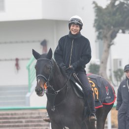 【勝羽の日曜競馬コラム・スプリングＳ】