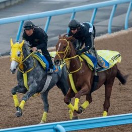 【飯島の日曜競馬コラム・金鯱賞】