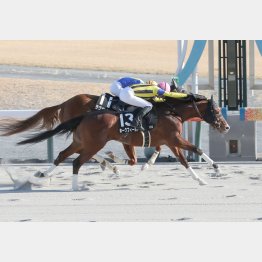 刈谷特別勝ちで２連勝