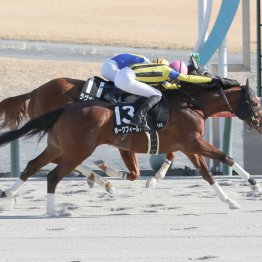 【大阪本紙・弘中の日曜阪神10Ｒ】