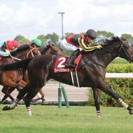 【金鯱賞】◎クイーンズウォーク　川田騎手連続騎乗　激絞り７点