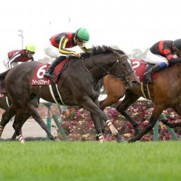 【金鯱賞】牝馬クイーンズウォークが重賞３勝目