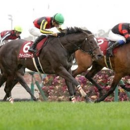 【金鯱賞】強い４歳牝馬の一角クイーンズウォーク頂点取りはどこになる！？