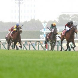 皐月賞トライアル重賞が良馬場ではない年は…