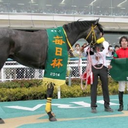 高木厩舎の２重賞に注目