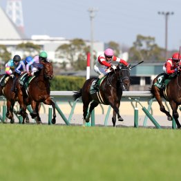 【ファルコンＳ】枠順泣き笑い　過去13年で６枠は圏内入りゼロ