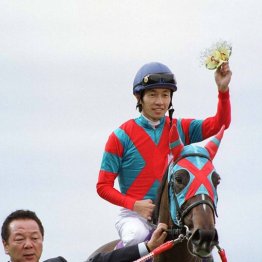 武豊がサブマリーナでデビュー以来初の春新潟に参戦へ