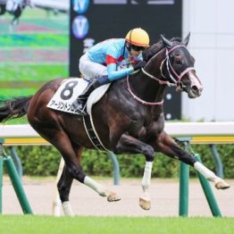 【市川の土曜競馬コラム・ファルコンＳ】