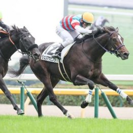 【飯島の土曜競馬コラム・若葉Ｓ】