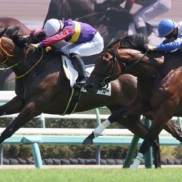 【橘の土曜競馬コラム・フラワーＣ】