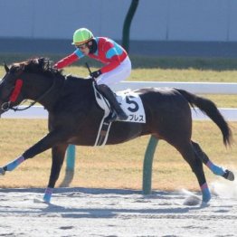 【東京本紙・外山の土曜中山８Ｒ】