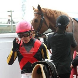 ２０１２年阪神大賞典　４冠馬オルフェーヴル逸走