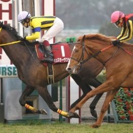 ２０１２年阪神大賞典　４冠馬オルフェーヴル逸走