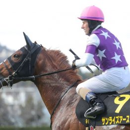 【大谷の日曜競馬コラム・阪神大賞典】