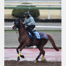 昨年の勝ち馬と同じキンカメ系×マンハッタンカフェの配合