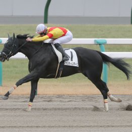 【播磨の日曜競馬コラム・鳴門Ｓ】