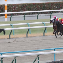 【大阪本紙・弘中の日曜阪神10Ｒ】