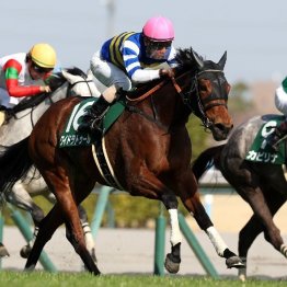 【愛知杯】ワイドラトゥールが得意の千四戦で重賞初制覇