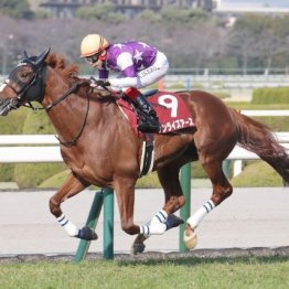 【阪神大賞典】格上挑戦サンライズアースが②着に６馬身差の完勝