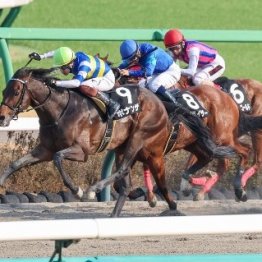 【千葉Ｓ】ボナンザが差し切ってオープン初勝利