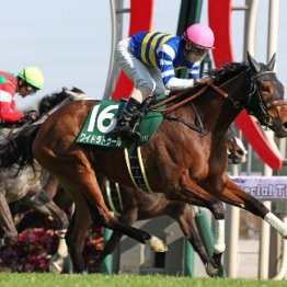 【愛知杯】またまた強い４歳牝馬だ！伏兵ワイドラトゥールが大外一気