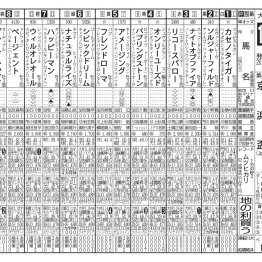 【京浜盃】ナイトオブファイア、中央勢を撃破