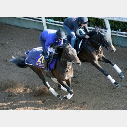 クロワの相手本線はミュージアムマイル